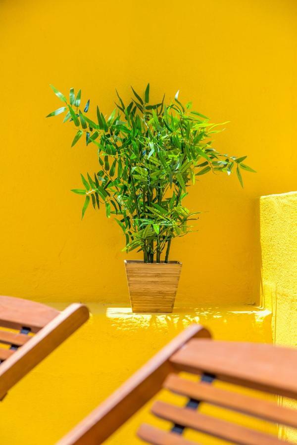 Alfama, Bright And Spacious With Private Terrace, By Timecooler Lisboa Exteriér fotografie